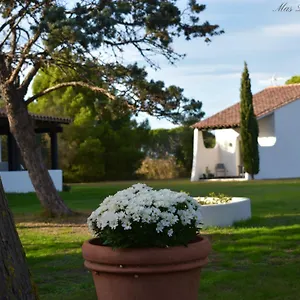 Hotel Mas Mls Saintes-Maries-de-La-Mer